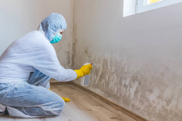 Hvac And Air Duct Mold Remediation inspection of HVAC system in Oakton